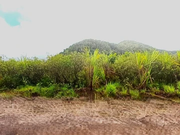 Terrain Agricole