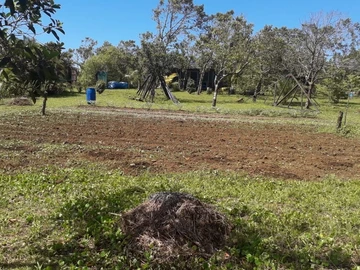 Terrain Agricole