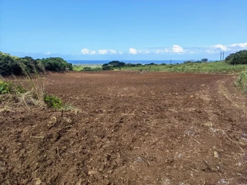 Terrain Agricole