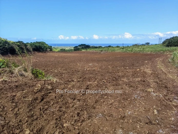 Terrain agricole à vendre à Surinam -  La Martinière avec vue mer
