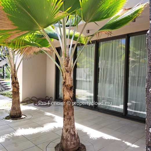 Villa in Anahita - Modern, Bright Villa