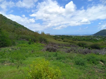 Terrain Résidentiel