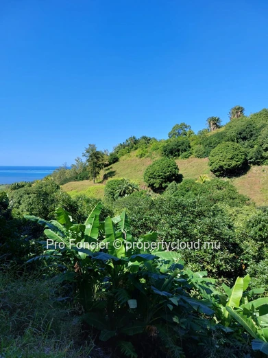 House in Anse Jonchee - Peaceful property for sale 