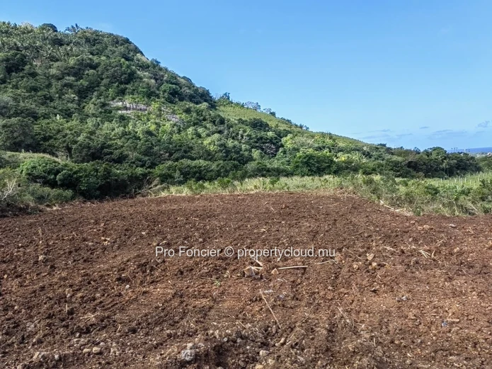 Terrain agricole à vendre à Surinam -  La Martinière avec vue mer