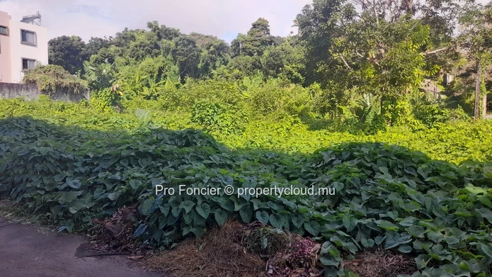 Terrain à vendre à Floreal -  Bon Investissement