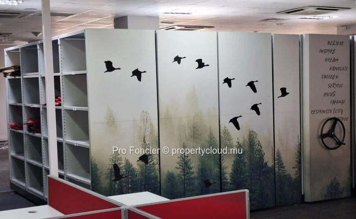 Bureaux à louer à Ebene -  Espaces de bureaux premium