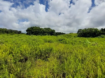 Terrain Agricole