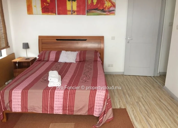 Penthouse for sale in Flic-En-Flac - Exceptional Seafront Penthouse 