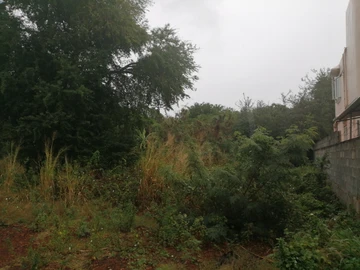 Terrain Résidentiel