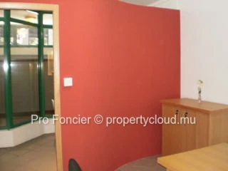 Office in Port Louis - Just plug in 