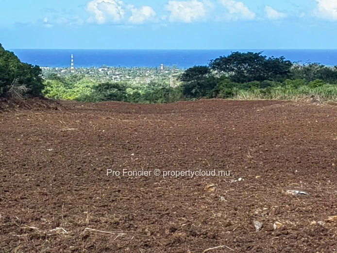 Terrain agricole à vendre à Surinam -  La Martinière avec vue mer