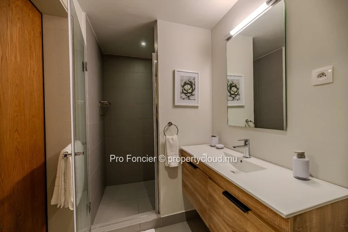 Apartment for rent in Moka - Elegance, Comfort and Modern Living-High-end  