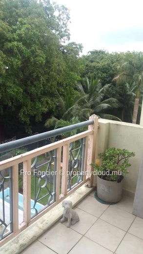 Appartement à Trianon  à vendre - Atmosphère Zen