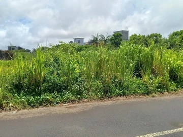 Terrain Commercial