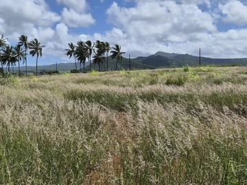 Terrain Résidentiel