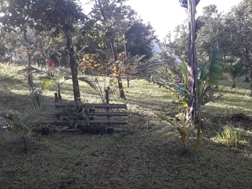 Terrain Agricole