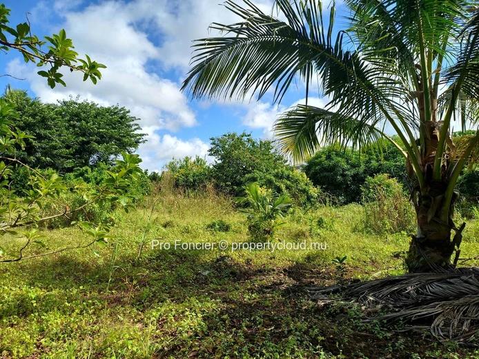 Terrain agricole à vendre à Deux Bras -  Très bon investissement