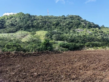 Terrain Agricole