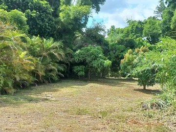 Terrain Résidentiel